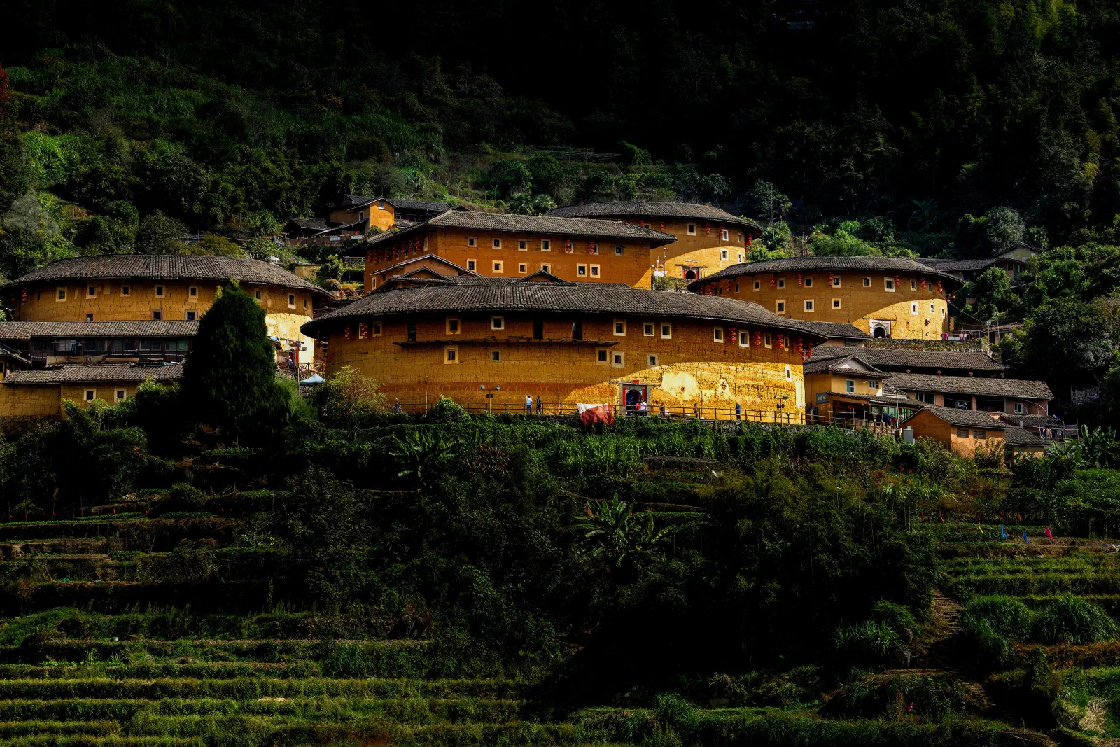 Scenes from China